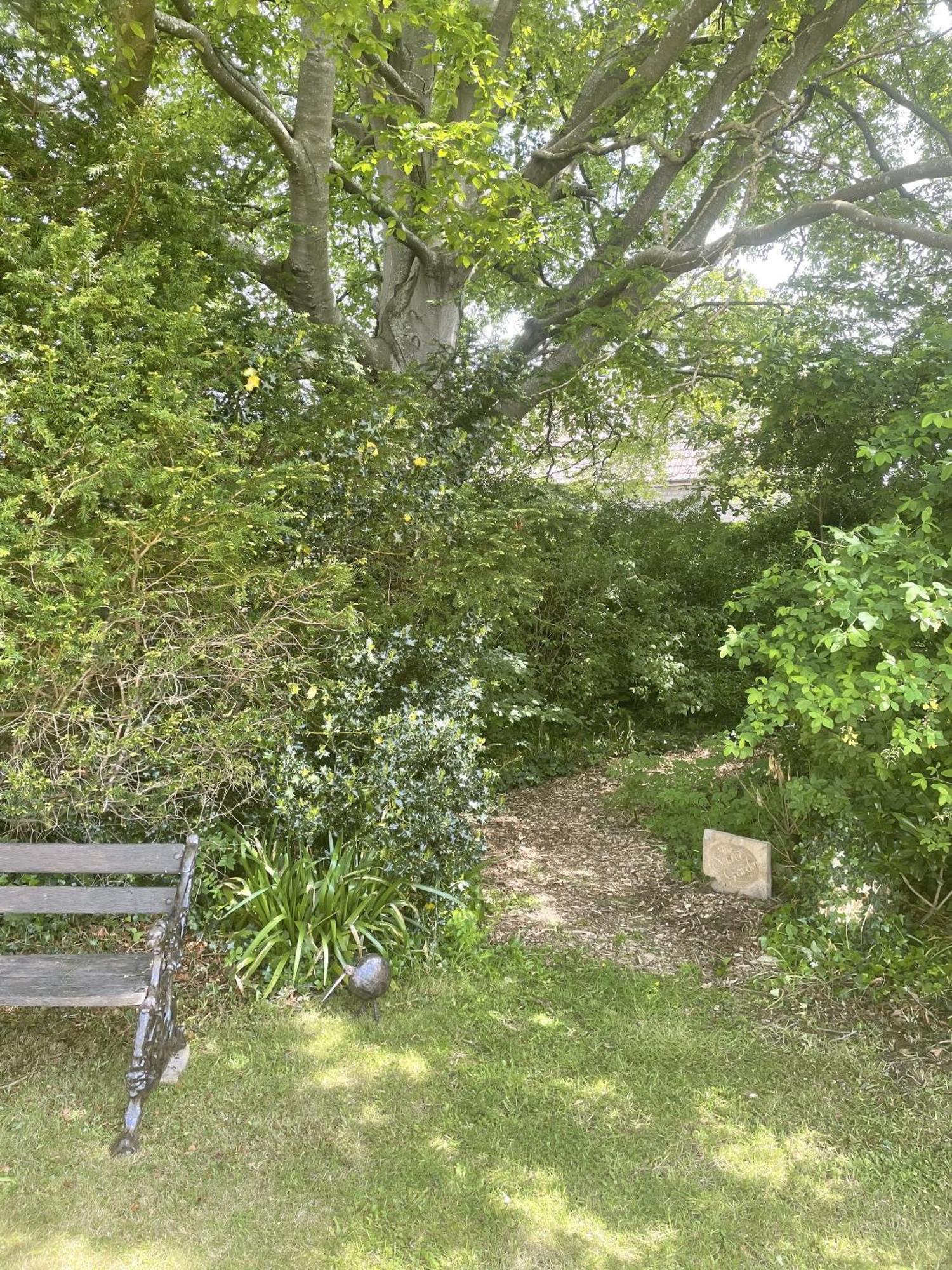 The Mount Somerton Retreat - Nr Bruton, Glastonbury, The Spectacular Wells Cathedral, Millfield School, Leonardo Helicopters, Yeovilton Esterno foto